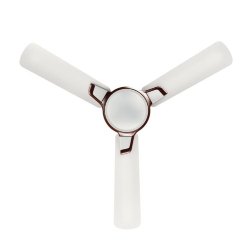 Sujata Flamenco Ceiling Fan