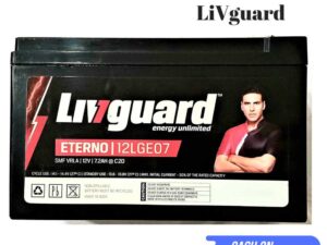 LiVguard battery